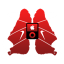 Nike+ Nano2G Black icon